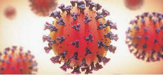 Screen Shot 2020-06-23 at 4.11.38 PM